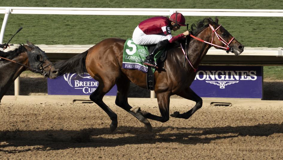 2026 Breeders' Cup Classic Power Rankings, Forever Young, Sovereignty